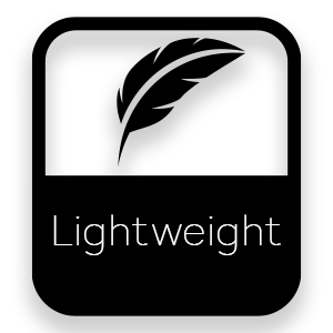 Lekkie koło zamachowe BMW N55 N55B30 135i 335i 535i - 240mm / 9.45