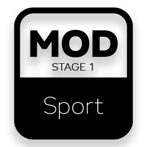 Lekkie koło zamachowe BMW N55 N55B30 135i 335i 535i - 240mm / 9.45